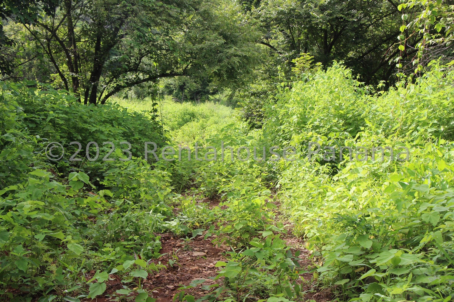 Commercial Property for Sale in Panama City Panamá Province